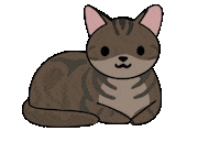 Cat Pet Sticker