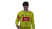 Handball Gwdminden Sticker by GWD Minden Handball-Bundesliga GmbH & Co.KG