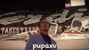 Ultra Morocco GIF