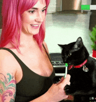 thesiridahl cat lick black cat nom GIF