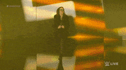 Wwe Wrestling GIF by USA Network