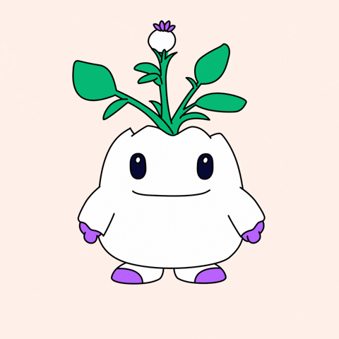 Mood Ok GIF by Magic Eden