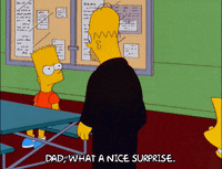 homer simpson GIF