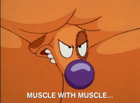 nicksplat GIF
