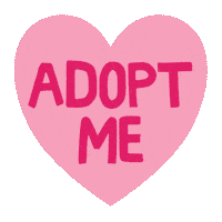 Adopt Dont Shop Sticker