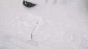 on the square GIF by Mac DeMarco