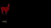 GIF by Gunpowder & Sky