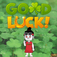 Boa Sorte Good Luck GIF by Zhotcita