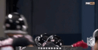 atlanta falcons football GIF by NFL