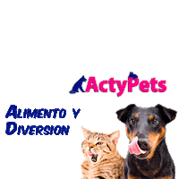 actypets actypets Sticker