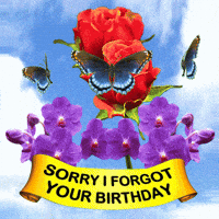 Flowers Belated Birthday GIF