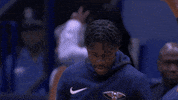 happy new orleans pelicans GIF by NBA