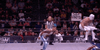 All Elite Wrestling GIF by AEWonTV