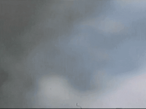 Footage Oaf GIF by jorgemariozuleta