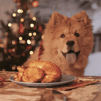 Merry Christmas Dog GIF by StoryMe