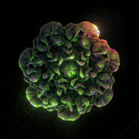 Art Loop GIF by xponentialdesign