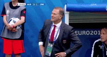 happy euro 2016 GIF by Sporza