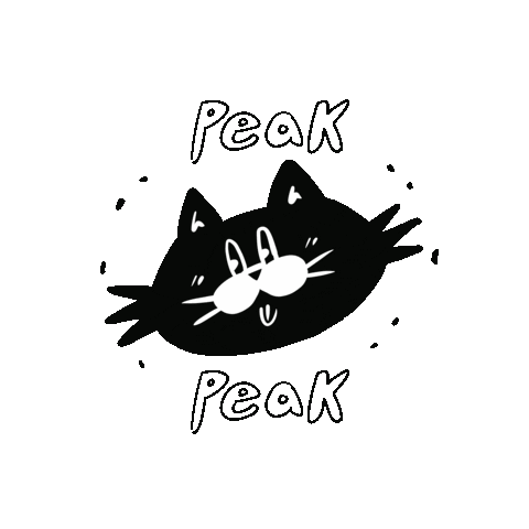 HOSA2 giphyupload cat 고양이 peak Sticker