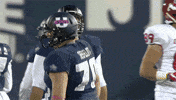 College Football GIF by USUAthletics
