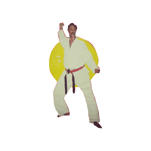 John Sullivan Karate Sticker