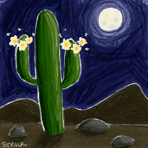 ByAllisonStrick  GIF