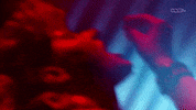 Luna Vachon Wrestling GIF by DARK SIDE OF THE RING