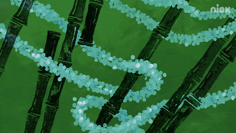 Nickelodeon GIF by SpongeBob SquarePants