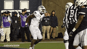 Csu Rams GIF by Colorado State Rams