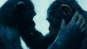 ceasar GIF by War for the Planet of the Apes