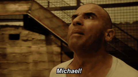 yell michael scofield GIF by Prison Break