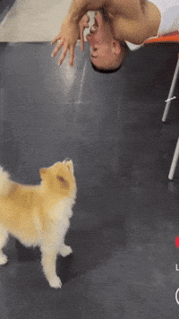 GIF by ZShredz
