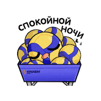 Ball Volleyball Sticker by kinash