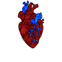 Heart Doctor Sticker by LALEO.COM