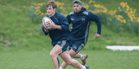 SaleSharks rugby sale sharks salesharks gallagherprem GIF