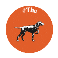 thesolloggroup the sollog group Sticker