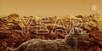 wes anderson dogs! GIF by Fox Searchlight