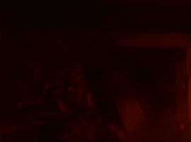 Neon Rated GIF by NEON