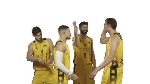 Liga Endesa Basketball Sticker by ACB