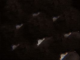 Happy Oh Yeah GIF by GIPHY IRL