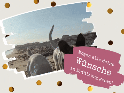 wufflecker giphyupload wufflecker wuffleckerbirthday wuffleckerglückwunsch GIF