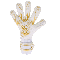 Futbol Goalkeeper Sticker by RG