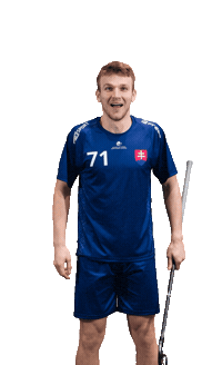 slovenskyzvazflorbalu slovakia florbal szfb slovak floorball Sticker