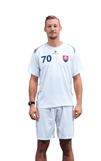 slovenskyzvazflorbalu slovakia florbal slovak floorball szfb Sticker