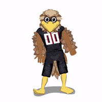 Atlanta Falcons Dance GIF by Wells Fargo