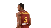 Sport Koripallo Sticker by Basket_fi