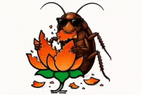 Bjp Genz GIF