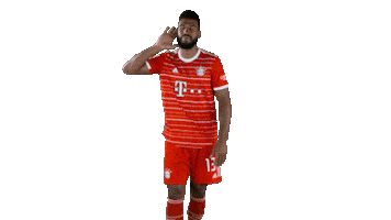 Listen Make Some Noise Sticker by FC Bayern Munich