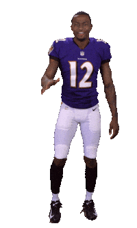 Baltimore Ravens Sticker Sticker by NFL