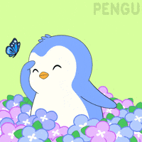 Flowers Looking GIF by Pudgy Penguins