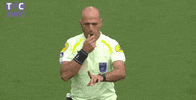 ligue 1 soccer GIF by Toulouse Football Club
